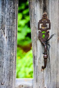 Close-up of wooden plank