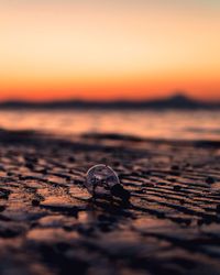 Close-up of crab on beach against sky during sunset