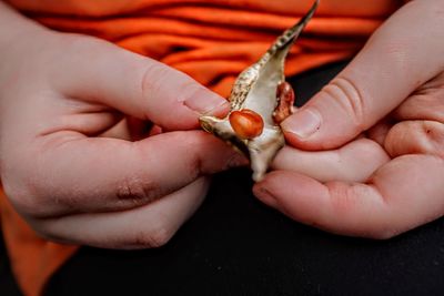 Close-up of woman holding hands