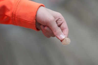 Close-up of hand holding shell