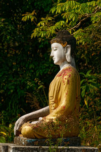 Statue of buddha against trees