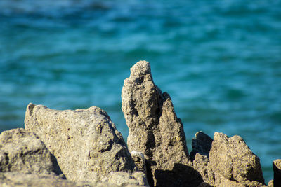 Close-up of rock formation on sea shore