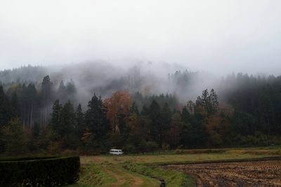 Trees on landscape against sky during foggy weather