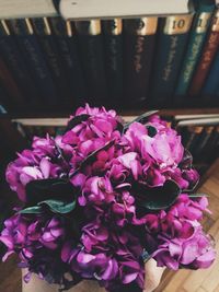 Close-up of pink flowers