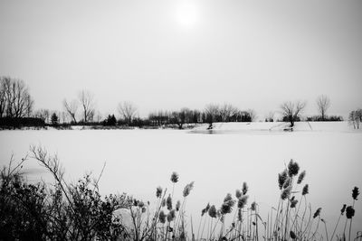 Scenic view of lake against clear sky during winter