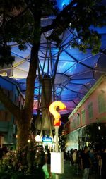 Trees at night