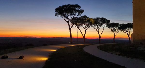 Silhouette trees by road against sky during sunset