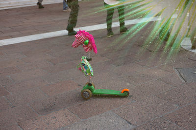 High angle view of toy on street