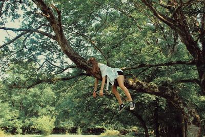 Woman by tree in forest