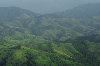 High angle view of green landscape and mountains