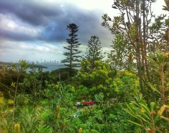 Scenic view of landscape against cloudy sky