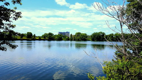 Reflection of trees in lake