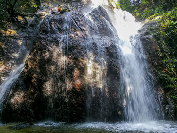 View of waterfall in forest
