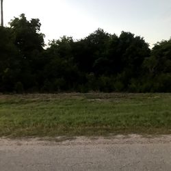 Scenic view of field against clear sky