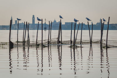 View of wooden posts in sea