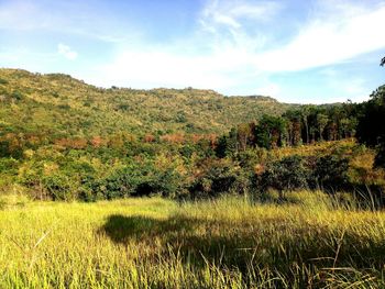 Scenic view of field against sky