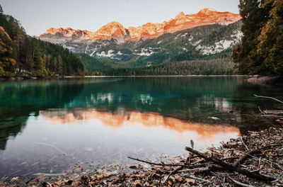 Reflection of trees in calm lake