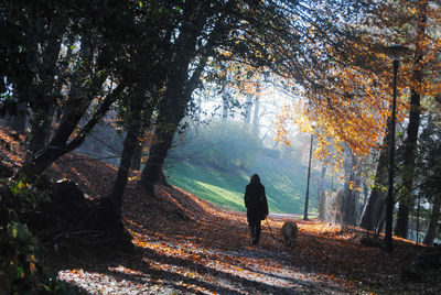 Rear view of woman with dog walking in forest during autumn