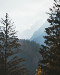 Scenic view of mountains against sky during winter