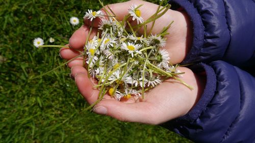 Close-up of cropped hands holding flowers