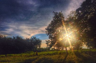 Scenic view of grassy field against sky