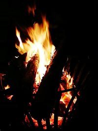 Close-up of bonfire at night