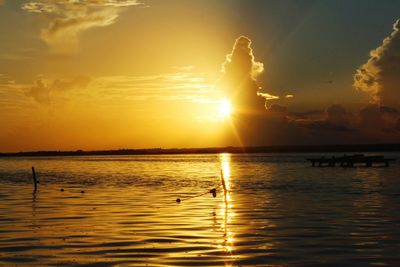 Silhouette swan swimming in sea against sunset sky