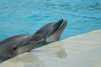 Swimming pool in sea