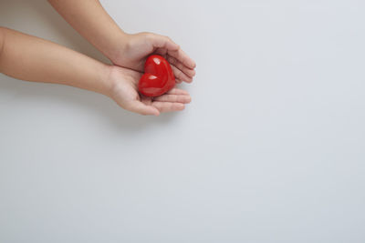 Close-up of hand holding red over white background