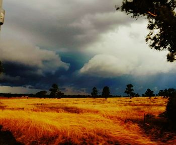 Scenic view of field against sky during sunset