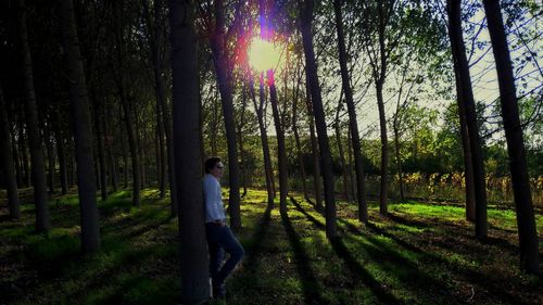 Man standing amidst trees in forest