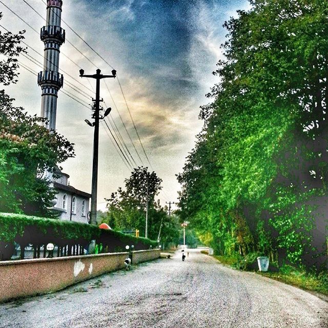 tree, sky, transportation, cloud - sky, the way forward, power line, road, electricity pylon, connection, street light, cloudy, street, diminishing perspective, cloud, built structure, electricity, cable, architecture, vanishing point, car