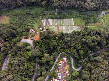 High angle view of road amidst trees
