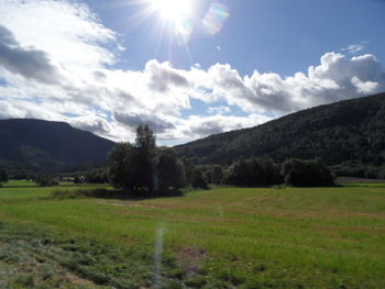 Scenic view of field and trees against sky