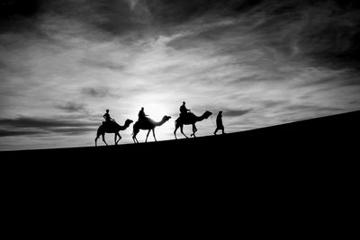 Silhouette men riding camels at desert against sky