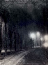 Empty road along trees at night