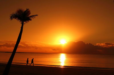 Silhouette palm trees on beach against sky during sunset