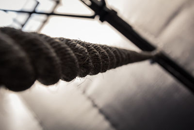 Close-up of rope