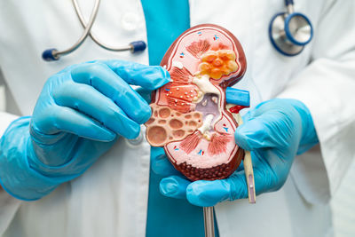 Midsection of doctor holding dentures