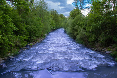 River flowing amidst trees in forest against sky