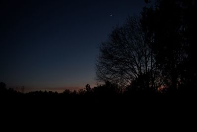 Silhouette of bare trees against clear sky at night