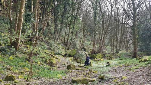 Rear view of woman walking in forest