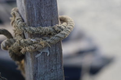 Close-up of rope tied on wooden post