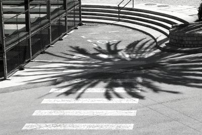 Close-up of shadow on zebra