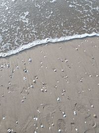 High angle view of wet sand on beach