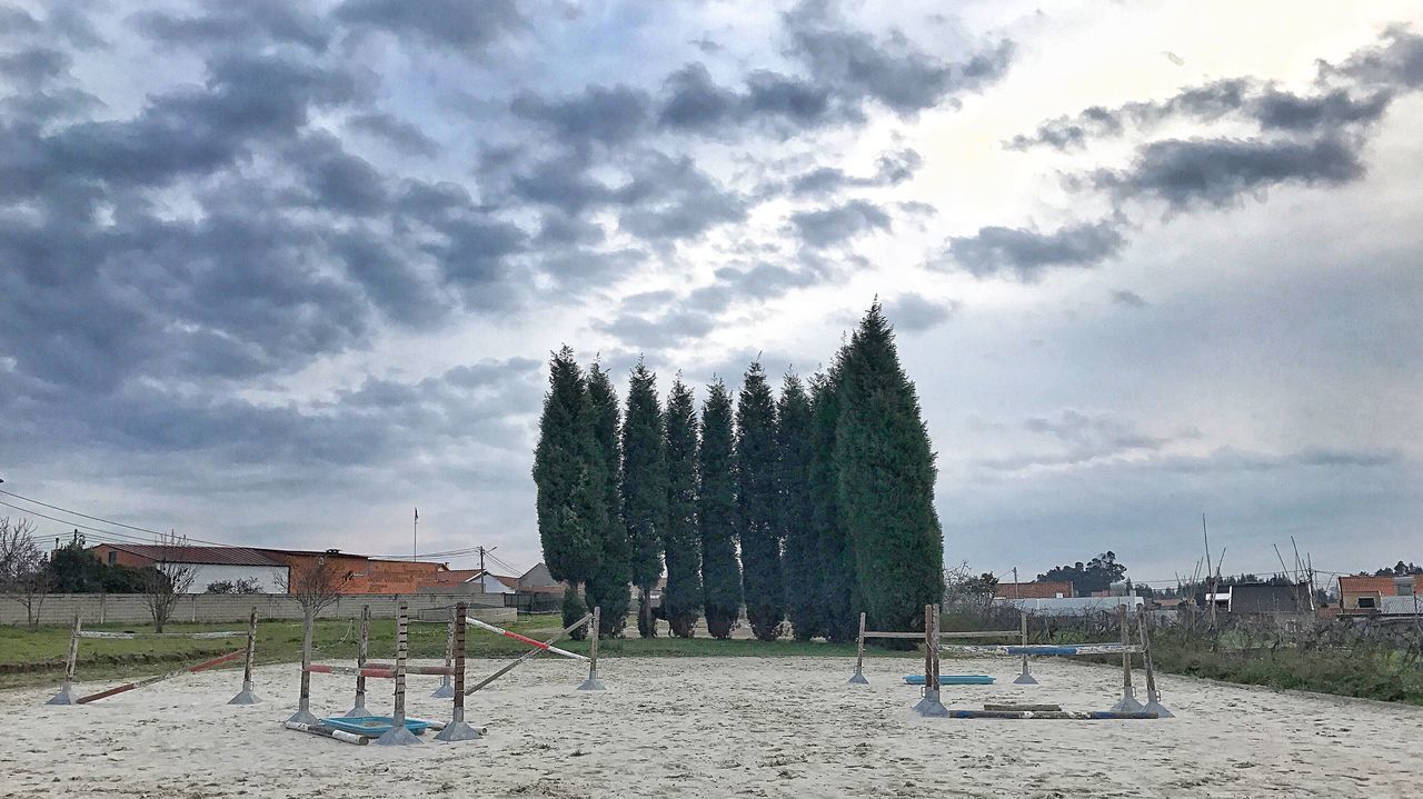 cloud - sky, sky, tree, nature, outdoors, growth, no people, beauty in nature, day