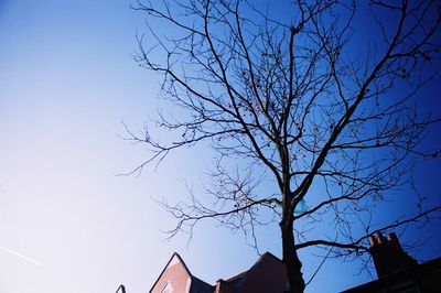 Low angle view of bare trees against blue sky