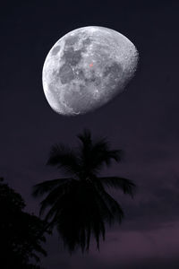 Low angle view of moon at night