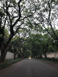 Empty road amidst trees in city against sky
