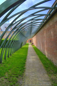 Footpath amidst plants against sky